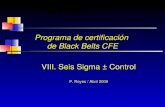 Programa de certificación  de Black  Belts  CFE