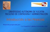 UNIVERSIDAD AUTÓNOMA DE YUCATÁN FACULTAD DE CONTADURÍA Y ADMINISTRACIÓN