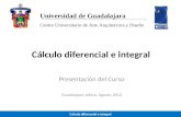 Cálculo diferencial e integral