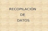 RECOPILACIÓN  DE  DATOS