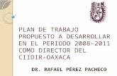 PLAN DE TRABAJO PROPUESTO A DESARROLLAR EN EL PERIODO 2008-2011 COMO DIRECTOR DEL CIIDIR-OAXACA