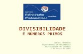DIVISIBILIDADE E NÚMEROS PRIMOS Carlos Tenreiro Departamento de Matemática Universidade de Coimbra