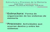 Estructura:  Forma de organización de los sistemas de memoria