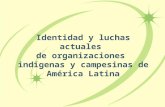 Identidad y luchas actuales  de organizaciones  indígenas y campesinas de América Latina