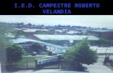 I.E.D. CAMPESTRE ROBERTO VELANDIA