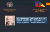 UNIVERSIDAD MICHOACANA  DE SAN NICOLÁS DE HIDALGO
