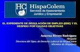 Azucena Rivero Rodríguez Abogada Directora del Dpto. de Derecho Laboral de HispaColem