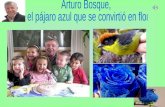 Arturo Bosque,  el pájaro azul que se convirtió en flor
