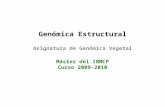 Genómica Estructural Asignatura de Genómica Vegetal Máster del IBMCP Curso 2009-2010