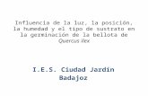 I.E.S. Ciudad Jardín Badajoz