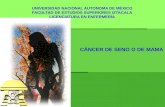 UNIVERSIDAD NACIONAL AUTONOMA DE MÉXICO FACULTAD DE ESTUDIOS SUPERIORES IZTACALA