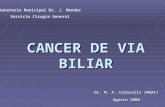 CANCER DE VIA BILIAR