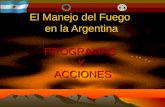 El Manejo del Fuego  en  la Argentina PROGRAMAS  Y  ACCIONES