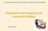 Evaluación de Proyectos de Inversión Pública