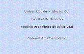Universidad de  Ixtlahuaca  CUI Facultad De Derecho Modelo  Pedagógico de Juicio Oral