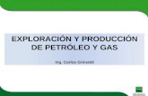 EXPLORACIÓN Y PRODUCCIÓN DE PETRÓLEO Y GAS Ing. Carlos Grimaldi