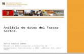 Análisis de datos del Tercer Sector.  Sofía García Gámez Master en Administración y Dirección de