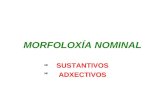 MORFOLOX Í A  NOMINAL