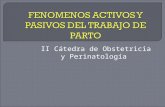 FENOMENOS ACTIVOS Y PASIVOS DEL TRABAJO DE PARTO