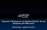 Mejores Prácticas en la Modernización de las Aduanas del Mercosur Montevideo, Agosto de 2011