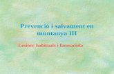 Prevenció i salvament en muntanya III