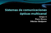 Sistemas de comunicaciones ópticas multicanal
