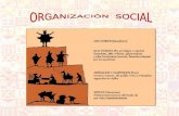 ORGANIZACI“N  SOCIAL