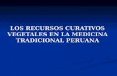 LOS RECURSOS CURATIVOS VEGETALES EN LA MEDICINA TRADICIONAL PERUANA