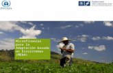 Microfinanzas para la Adaptación basada en Ecosistemas (MEbA)