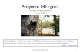 Proyecto Milagros