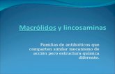 Macrólidos  y  lincosaminas