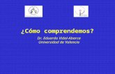 ¿Cómo comprendemos? Dr. Eduardo Vidal-Abarca Universidad de Valencia