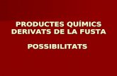 PRODUCTES QUÍMICS DERIVATS DE LA FUSTA POSSIBILITATS
