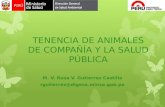 TENENCIA DE ANIMALES DE COMPAÑÍA Y LA SALUD PÚBLICA