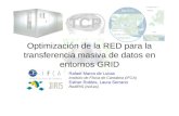 Optimización de la RED para la transferencia masiva de datos en entornos GRID