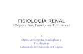 FISIOLOGÍA RENAL (Depuración, Funciones Tubulares)