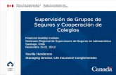 Supervisión de Grupos de Seguros y Cooperación de Colegios