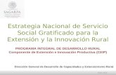 Estrategia Nacional de Servicio Social Gratificado para la Extensión y la Innovación Rural