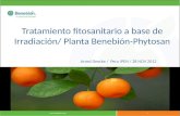 Tratamiento fitosanitario a base de Irradiación/ Planta Benebión-Phytosan