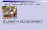 ESTRUCTURA FINANCIERA DE LA ENTIDAD: CONCEPTO Y CLASIFICACION DEL ACTIVO, PASIVO Y CAPITAL