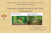 Colegio Médico  de Honduras /  Sociedad Hondureña  de  Enfermedades Infecciosas
