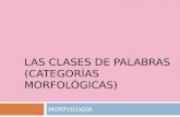 LAS CLASES DE PALABRAS (CATEGORÍAS MORFOLÓGICAS)