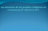 Los  derechos  de los pueblos  indígenas  en el  Convenio  N° 169 de la OIT.