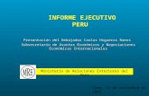 INFORME EJECUTIVO PERU