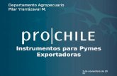 Instrumentos para Pymes Exportadoras