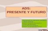 ADS: PRESENTE Y FUTURO