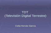 TDT  (Televisión Digital Terrestre)