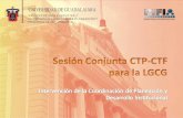 Sesión Conjunta CTP-CTF  para la LGCG