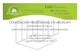 COLEGIACION PROFESIONAL EN URUGUAY ANTEPROYECTO DE LA  AGRUPACION UNIVERSITARIA DEL URUGUAY(AUDU)