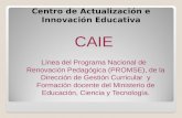 Centro de  Actualización  e  Innovación Educativa